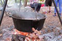 genie_2023_Jul_14_138982